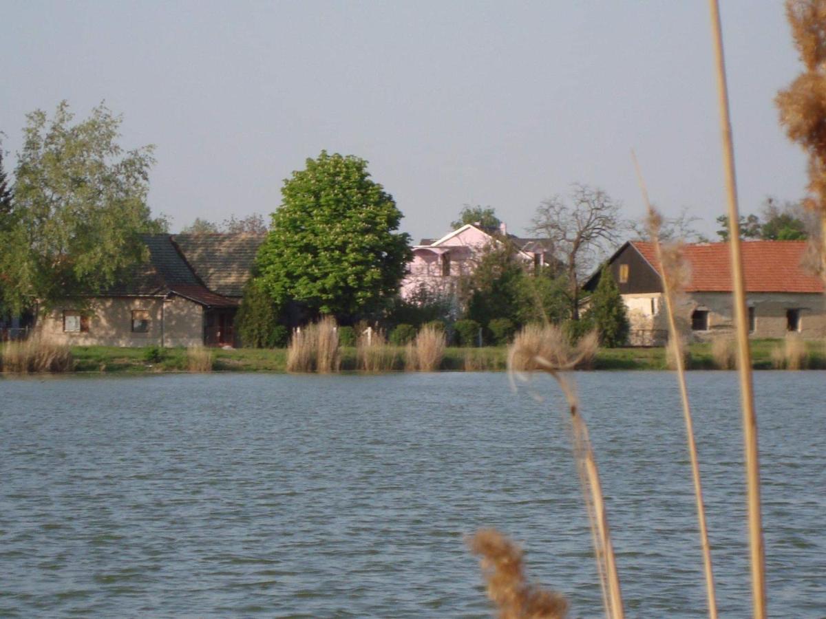 Vila Madams - Palic-Serbia ภายนอก รูปภาพ