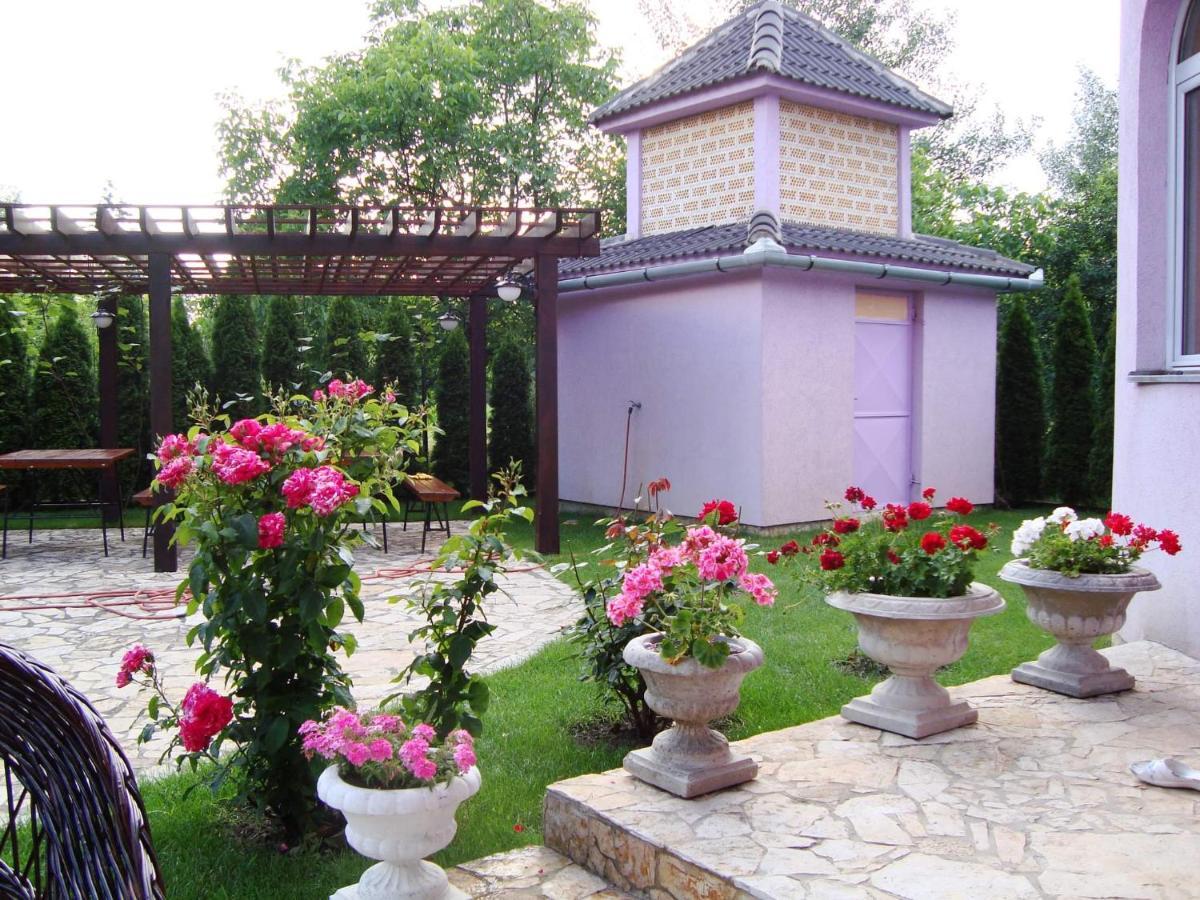 Vila Madams - Palic-Serbia ภายนอก รูปภาพ