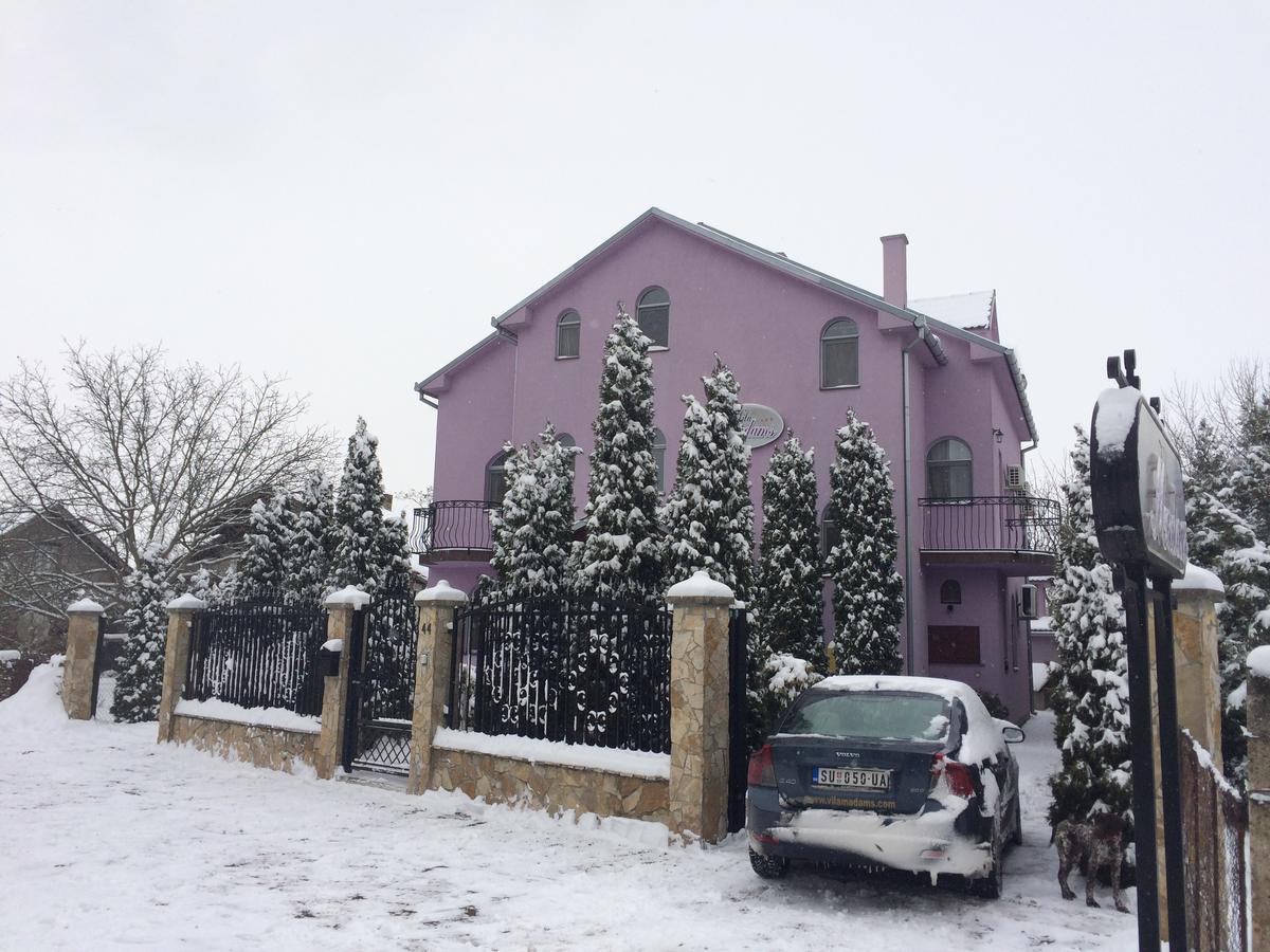 Vila Madams - Palic-Serbia ภายนอก รูปภาพ
