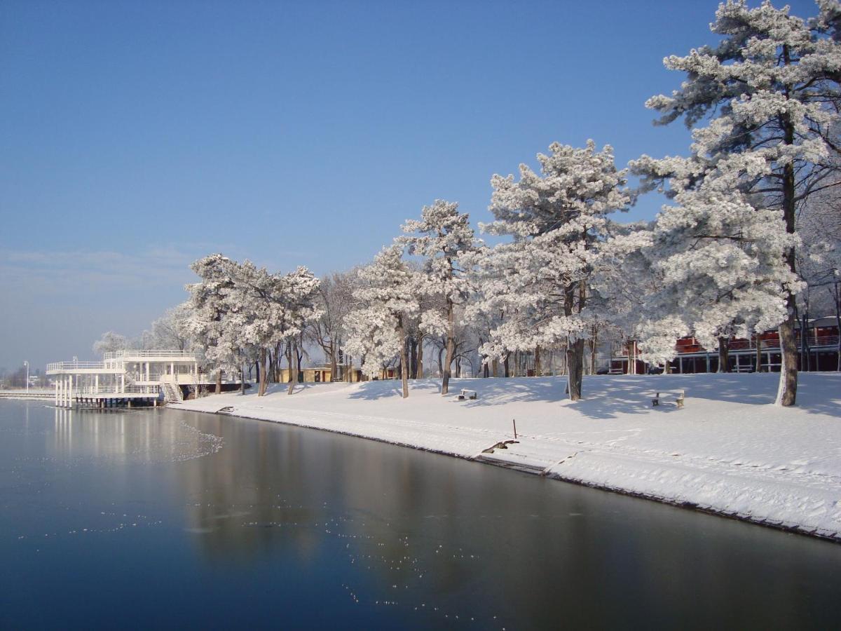 Vila Madams - Palic-Serbia ภายนอก รูปภาพ